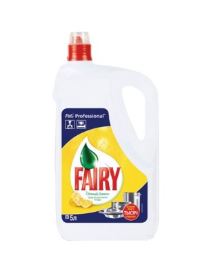 fairy-5